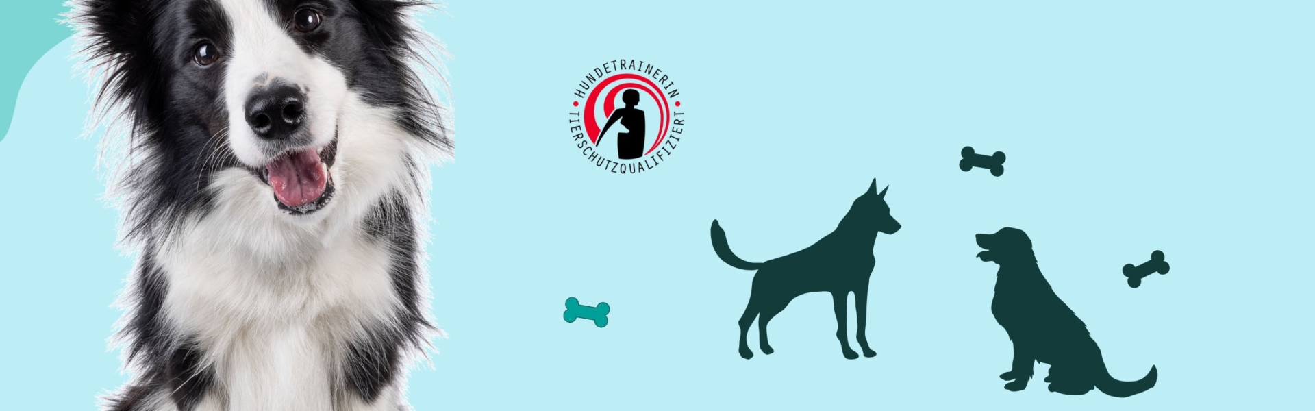 Vorbereitungskurs "BASIC" zur Prüfung tierschutzqualifizierte:r Hundetrainer:in