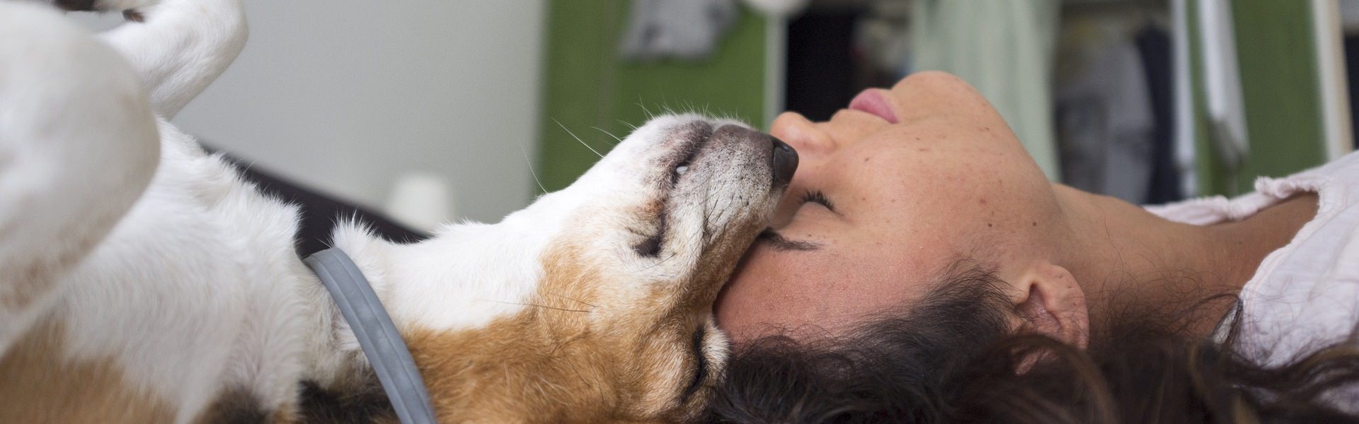 Sichere Bindung beim Hundonlinekurs Hund Hundeschule