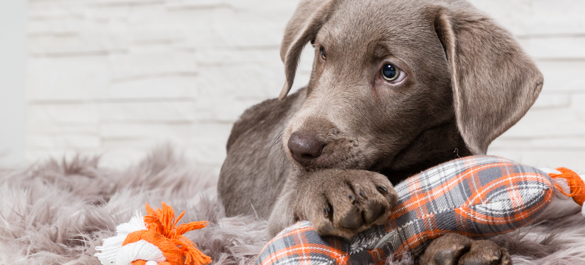 Weil jeder Anfang Spuren hinterlässt