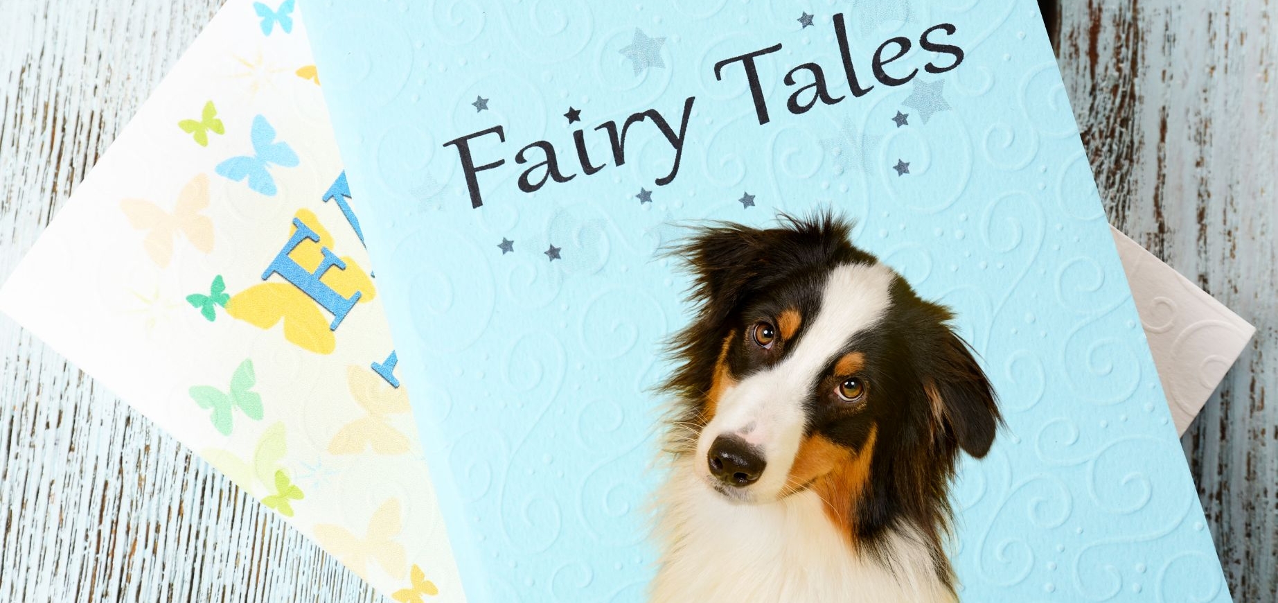 5 Mythen über Hunde, die sich hartnäckig halten – Teil 2