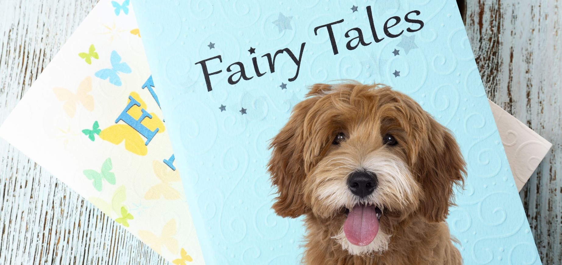 5 Mythen über Hunde, die sich hartnäckig halten – Teil 1