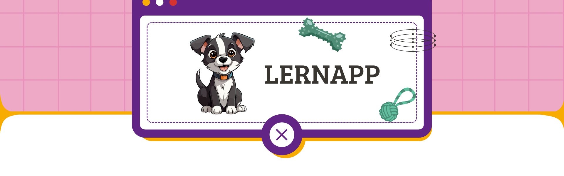 Wissen für angehende Hundetrainer:innen